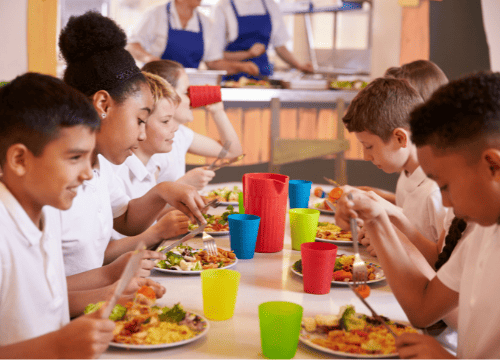 The Link Between Nutrition and Education