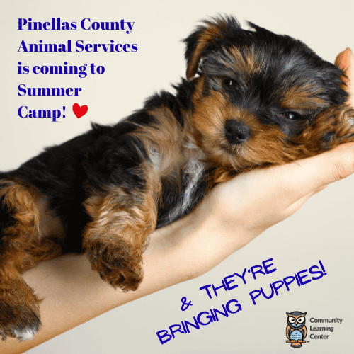 Pinellas County Animal Services is coming to Summer Camp!